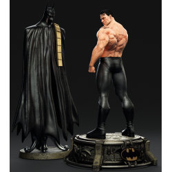 Batman Bruce Wayne The scars