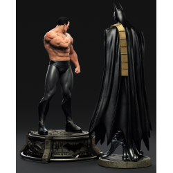 Batman Bruce Wayne The scars