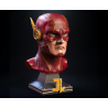 Flash Bust