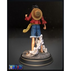 Monkey D Luffy (One piece)