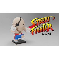 Street Fighter POP