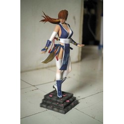 Dead Or Alive - Kasumi