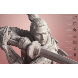 Sekiro Shadows