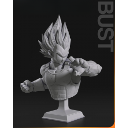 Vegeta & Broly Bust