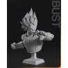 Vegeta & Broly Bust