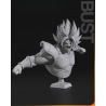 Vegeta & Broly Bust