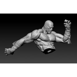 Street Fighter - Sagat Tiger