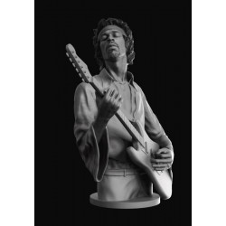 Jimi Hendrix Bust