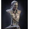 The Witcher - Gerald Bust