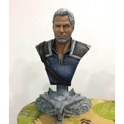 The Witcher - Gerald Bust