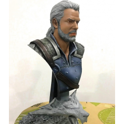 The Witcher - Gerald Bust