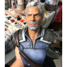 The Witcher - Gerald Bust