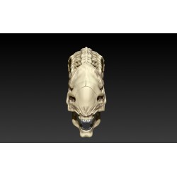 Alien vs Predator Skull