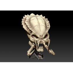 Alien vs Predator Skull