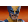 Wolverine Sculpture & Bust