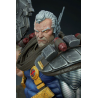 Cable