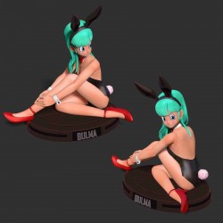 Bulma Sitting On The Floor