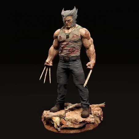 Logan Wolverine