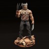 Logan Wolverine