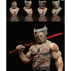 Logan Wolverine