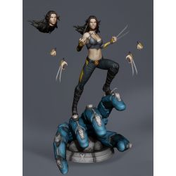 Figure X23