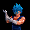 Vegetto