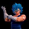 Vegetto