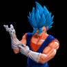 Vegetto