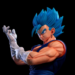 Vegetto