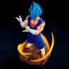 Vegetto