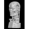 T-800 Skull - Terminator 2 - Judgment Day