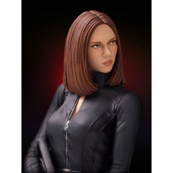 Black Widow - The Return of the First Avenger