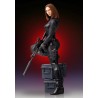 Black Widow - The Return of the First Avenger