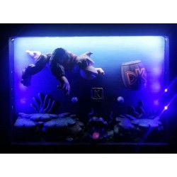 Shadowbox Donkey Kong aquatic