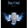 Wall Light - Day Owl