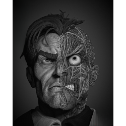 Two Face Portrait Bust