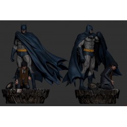 Batman - Birth of Justice