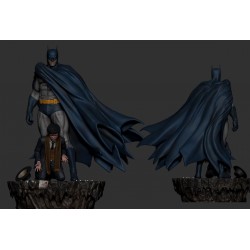 Batman - Birth of Justice