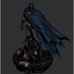 Batman - Birth of Justice