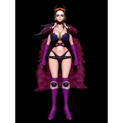 Robin Onigashima Raid Outfit