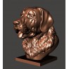 Labrador Bust