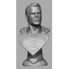 Superman Bust