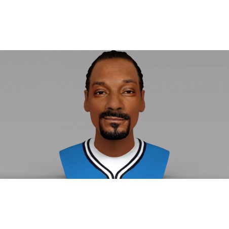 Snoop Dog Bust