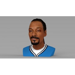 Snoop Dog Bust