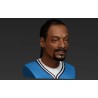 Snoop Dog Bust