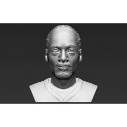 Snoop Dog Bust