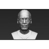 Snoop Dog Bust