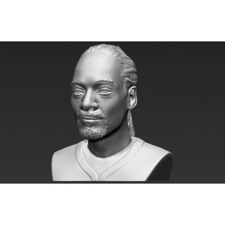 Snoop Dog Bust