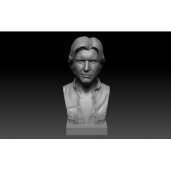 Han Solo Bust