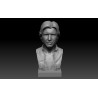 Han Solo Bust